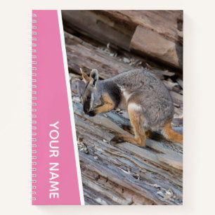 Yellow Footed Rock Wallaby, Australia, Pink Notebook
