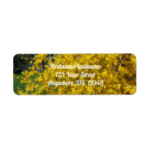 Yellow Forsythia Flowers Orton Effect Address Return Address Label
