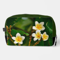 Yellow Frangipani