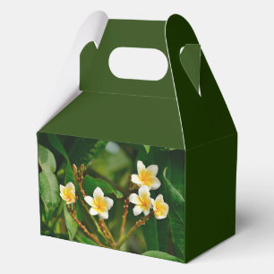 Yellow Frangipani Favour Box