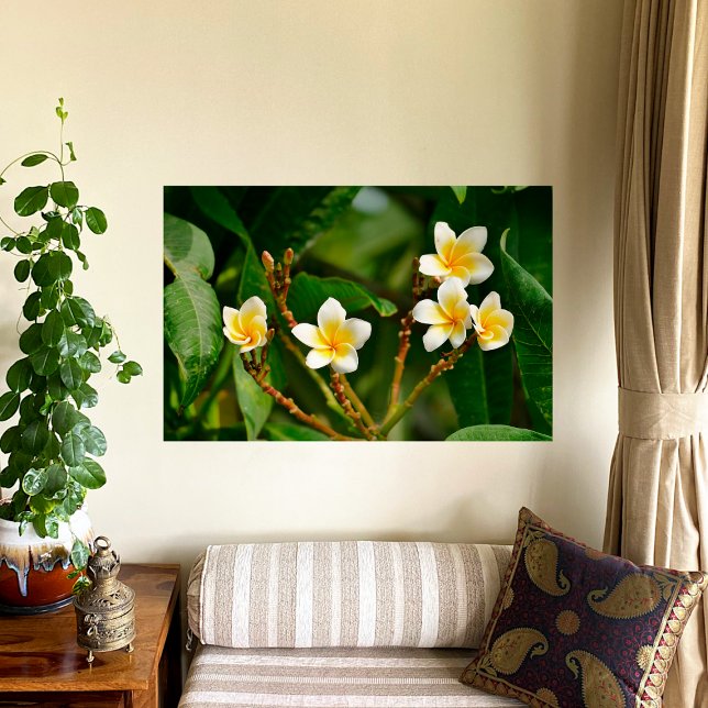Yellow Frangipani Poster (Creator Uploaded)