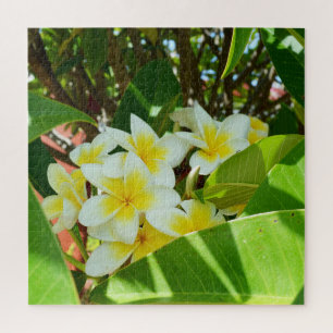 Yellow Frangipanis Growing On A Tree, Jigsaw Puzzle
