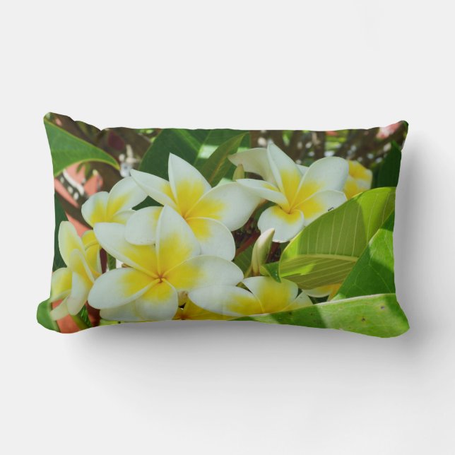 Yellow Frangipanis Growing On A Tree Throw Cushion (Front)