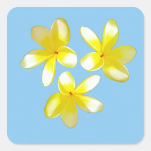 Yellow Frangipanis On Misty Blue, Stickers
