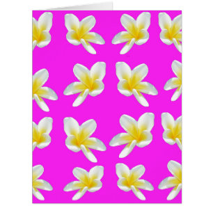 Yellow Frangipanis On Pink,
