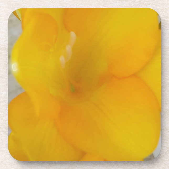 Yellow Fresia Coaster (Front)