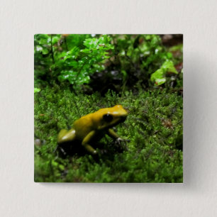 Yellow Frog 15 Cm Square Badge