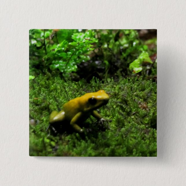 Yellow Frog 15 Cm Square Badge (Front)