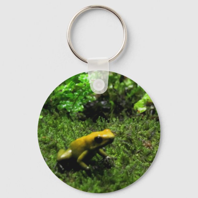 Yellow Frog Key Ring (Front)