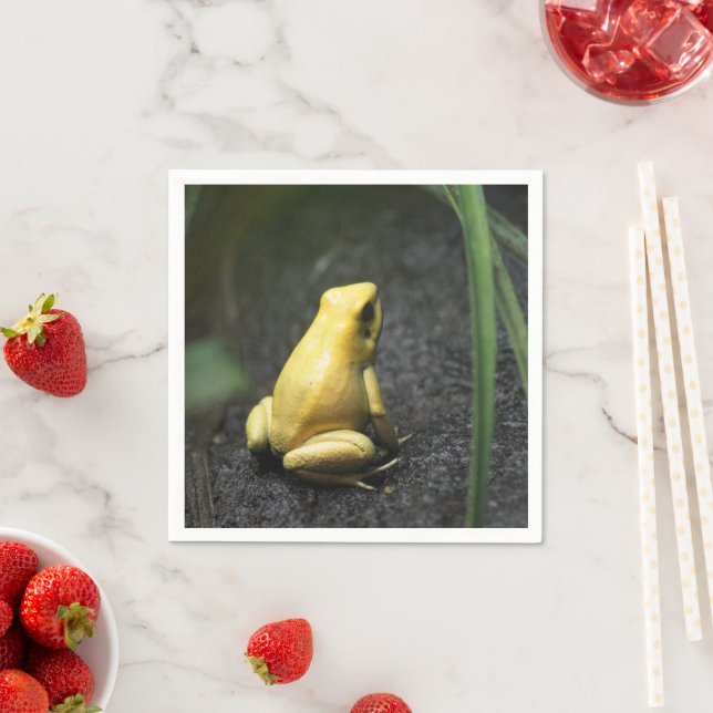 Yellow Frog Napkin (Insitu)