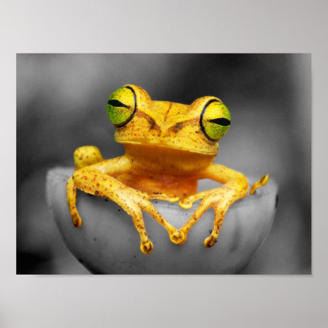 Yellow Frog Poster (Front)