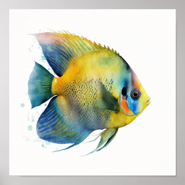 Yellow fronted angelfish in watercolor  poster (Front)