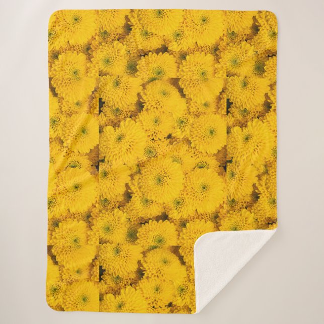 Yellow garden asters mums chrysanthemums flower  sherpa blanket (Front)