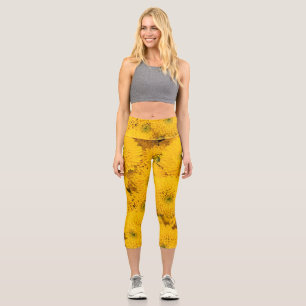 Yellow garden asters Perfect colour summer flower  Capri Leggings