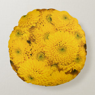 Yellow garden asters Perfect colour summer flower  Round Cushion