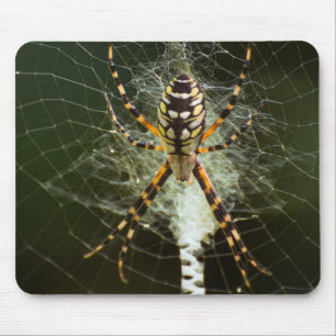 Yellow garden spider mouse pad
