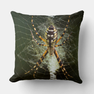 Yellow garden spider on web in dark cushion