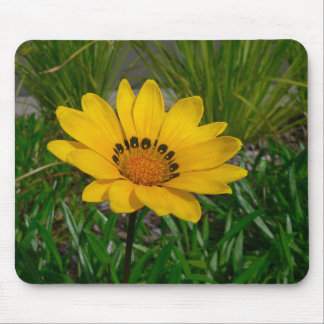 Yellow Gazania Daisy Flower Mouse Pad