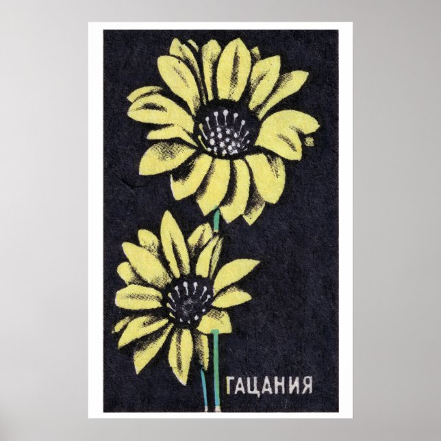 Yellow Gazania - Matchbox Print - Aesthetic Wall (Front)