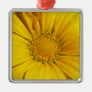 Yellow Gazania Metal Tree Decoration