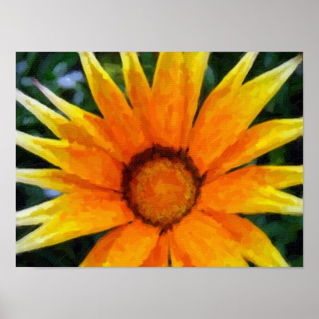 Yellow gazania poster (Front)