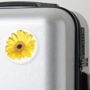 Yellow Gerber Daisy Flower Close-Up Photograph Magnet