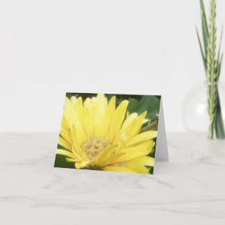 Yellow Gerber Note Card