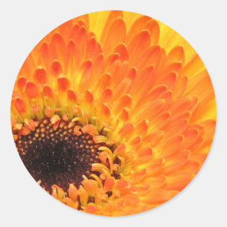 Yellow Gerber Stickers