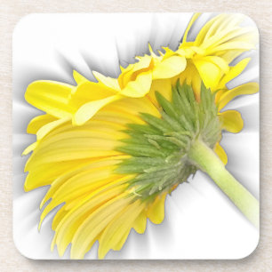yellow gerbera daisy coaster