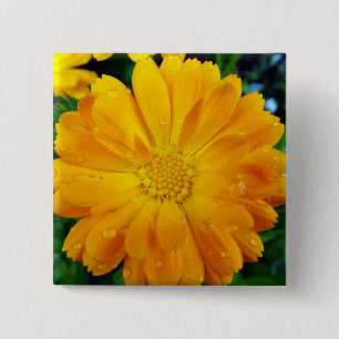 yellow gerbera daisy flower 15 cm square badge