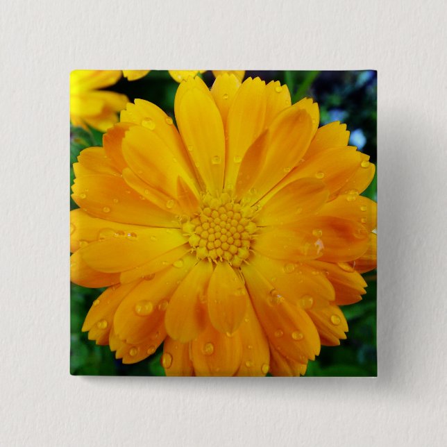 yellow gerbera daisy flower 15 cm square badge (Front)