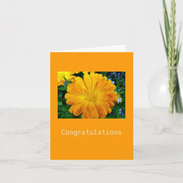yellow gerbera daisy flower card (Front)