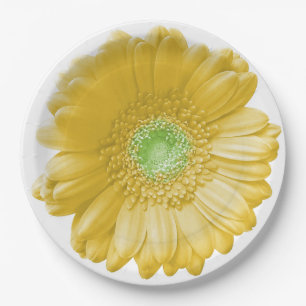 Yellow gerbera daisy paper plate
