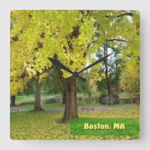 Yellow Gingko Tree - Boston Public Garden Square Wall Clock