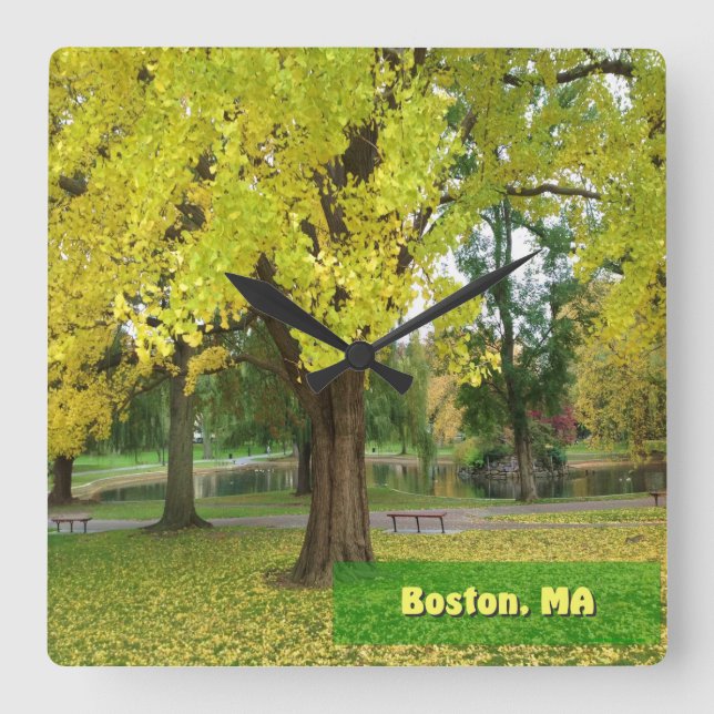 Yellow Gingko Tree - Boston Public Garden Square Wall Clock (Front)