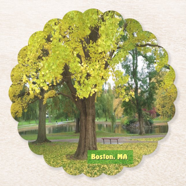 Yellow Gingko Tree Paper Coaster (Front)