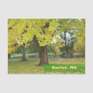 Yellow Gingko Tree Tissue Paper