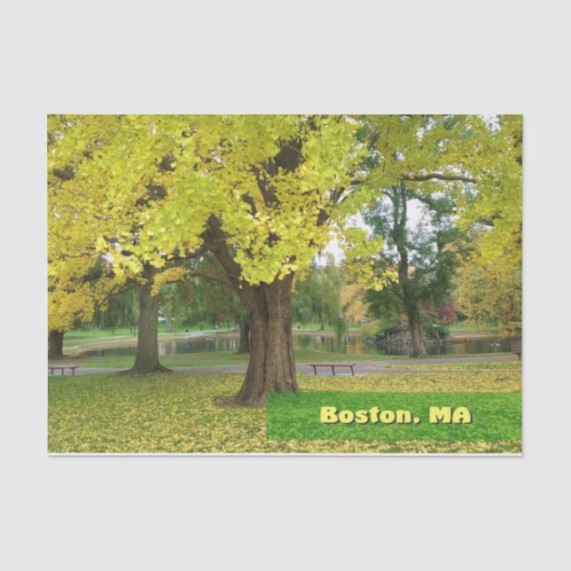 Yellow Gingko Tree  Tissue Paper (Front)