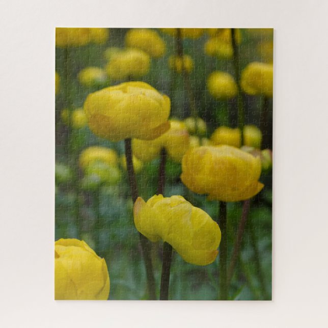 Yellow Globe Flowers Jigsaw Puzzle (Vertical)