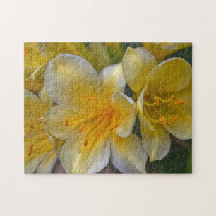 Yellow Gold Lily Flowers Floral Garden Puzzle