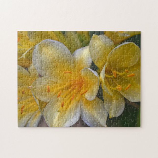 Yellow Gold Lily Flowers Floral Garden Puzzle (Horizontal)