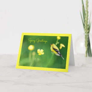 Yellow Goldfinch Greeting Card