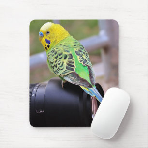 Yellow, Green and Blue Exotic Bird on Camera Lens Mouse Pad