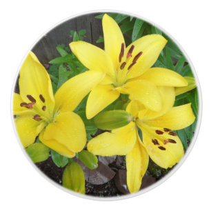 Yellow & Green Lily Ceramic Pull Door Knob