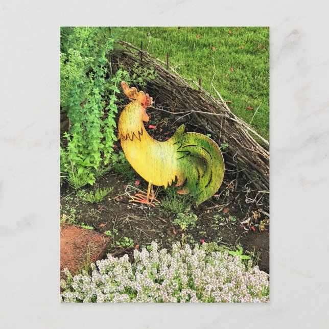 Yellow & Green Rooster Postcard (Front)