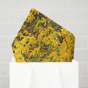 Yellow Happy Blossoms Peaceful Nature Spring Tissue Paper