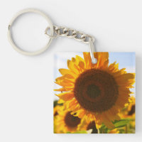 Yellow Hardy Sunflower Art Best Sunflower Photos