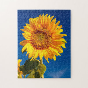 Yellow Hardy Sunflower Best Sunflower Photos Jigsaw Puzzle