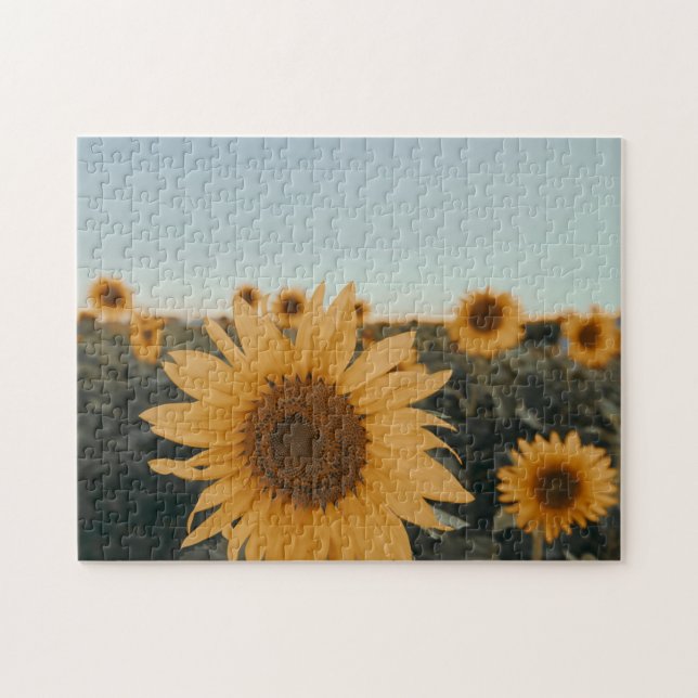 Yellow Hardy Sunflower Best Sunflower Photos Jigsaw Puzzle (Horizontal)