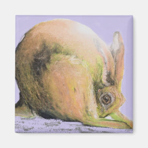 yellow hare magnet